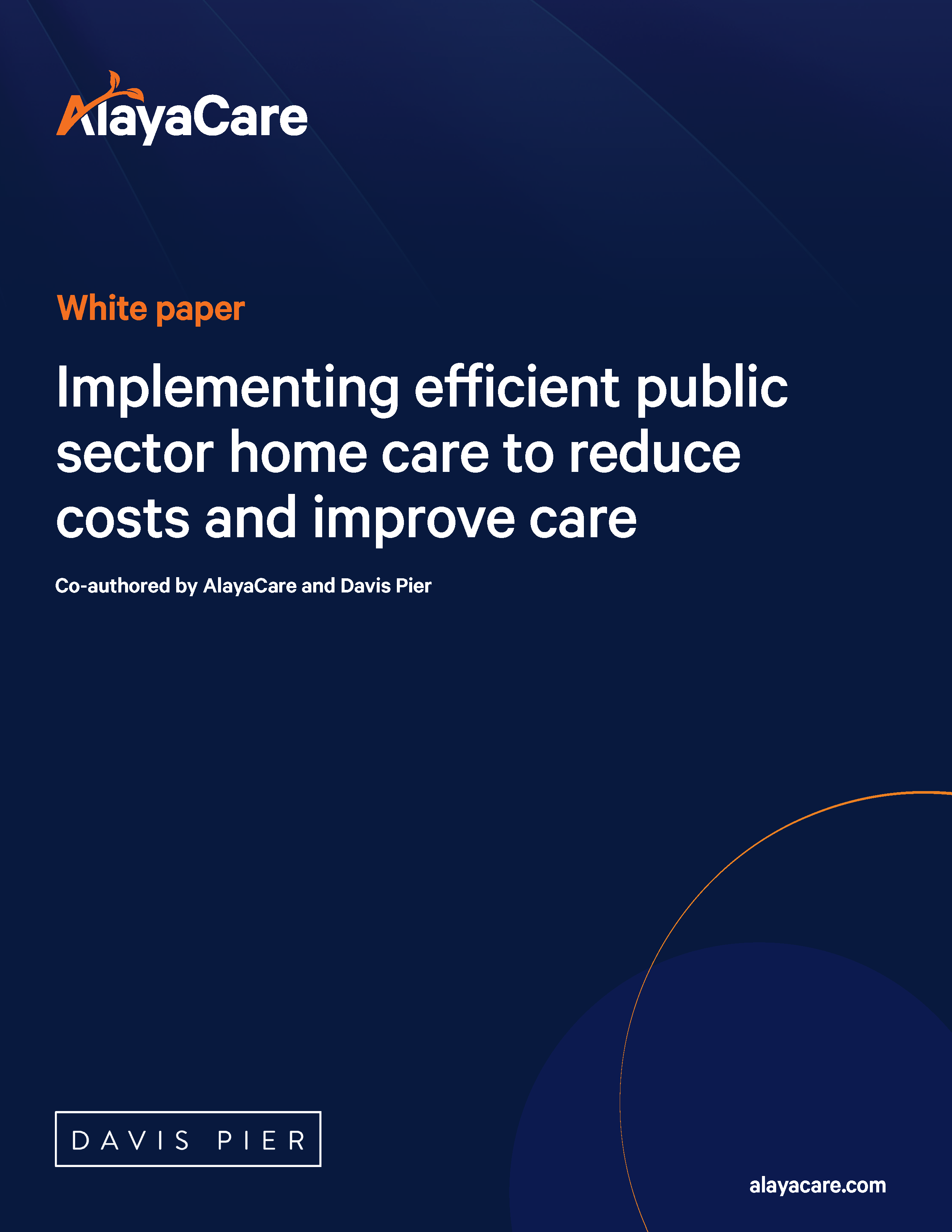 White paper: Implementing Efficient Public Sector Home Care